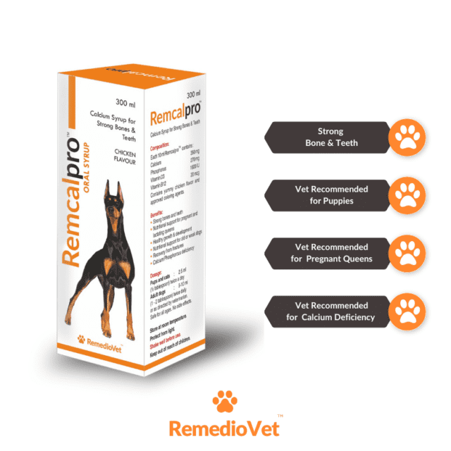 Calcium Syrup For Dogs & Cats Yummy Chicken Flavour
