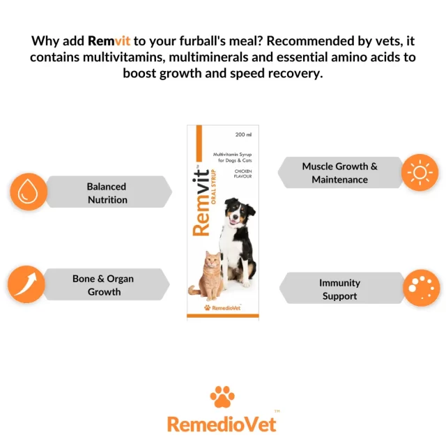 Best Dog Multivitamins