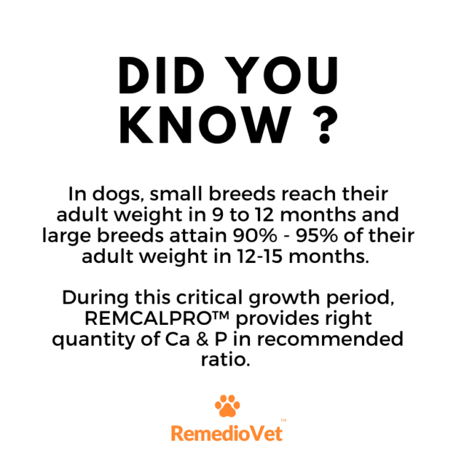 Calcium Syrup For Dogs & Cats Yummy Chicken Flavour