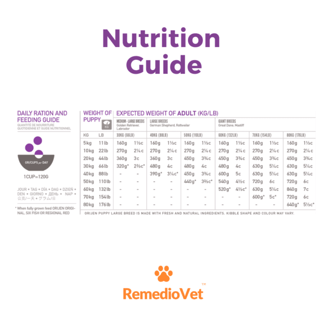Orijen Grain Free Large Puppy Dry Food