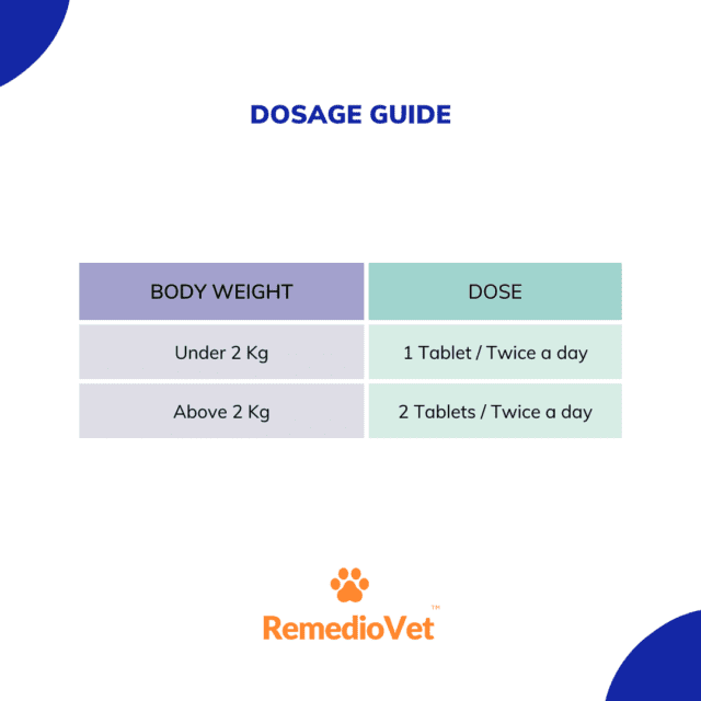 Defender Nex Dewormer for Cats and Kittens - 6 tablets