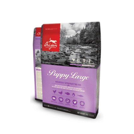 Orijen Grain Free Large Puppy Dry Food
