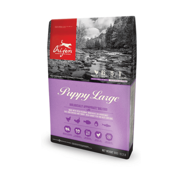 Orijen Grain Free Large Puppy Dry Food