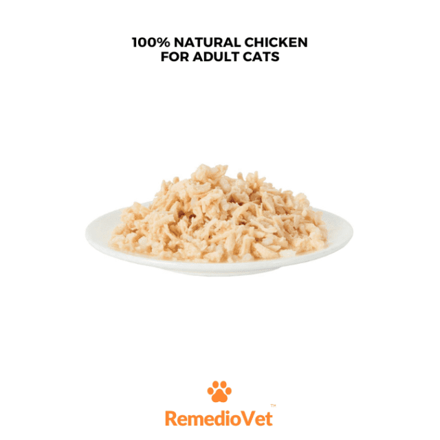 Applaws All Natural Chicken Breast in Broth Kitten Wet Food 70g