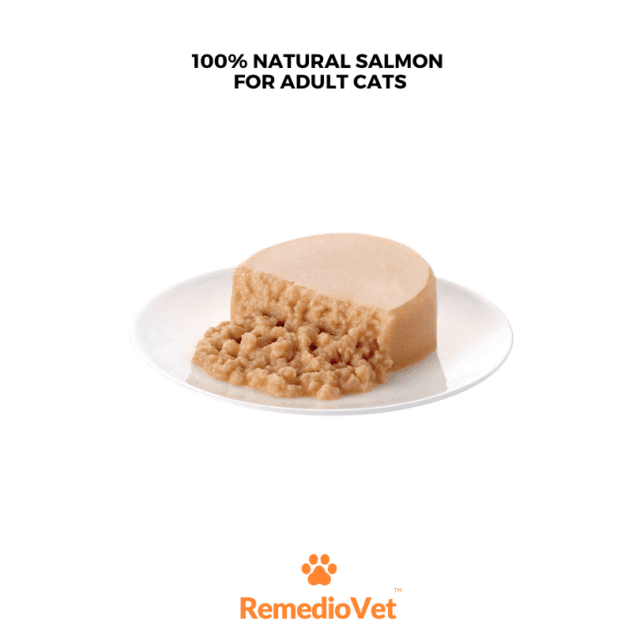 Applaws All Natural Salmon Mousse Cat Wet Food 70g