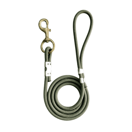 The ultimate dog leash for medium and large breeds