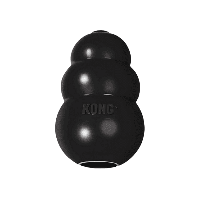 Kong Extreme Dog Toy