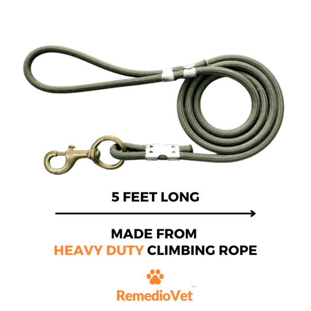 The ultimate dog leash for medium and large breeds