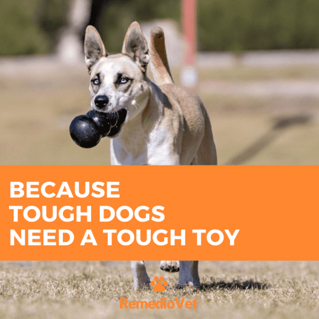 Kong Extreme Dog Toy