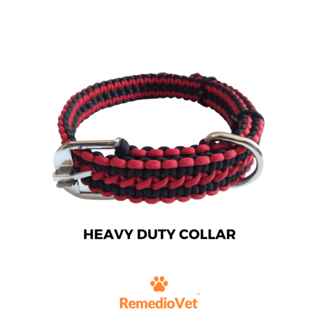 The ultimate dog leash and collar set for medium & large breeds