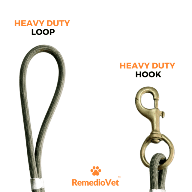 The ultimate dog leash for medium and large breeds