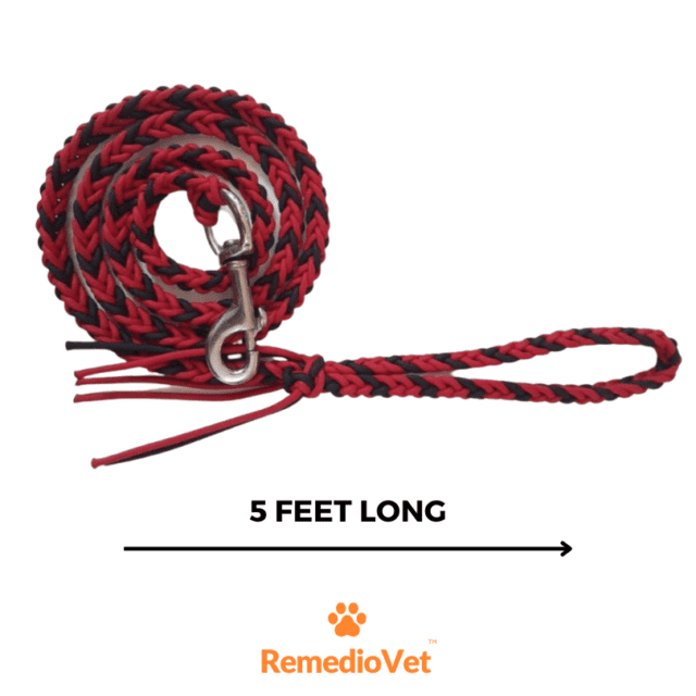 The ultimate dog leash and collar set for medium & large breeds