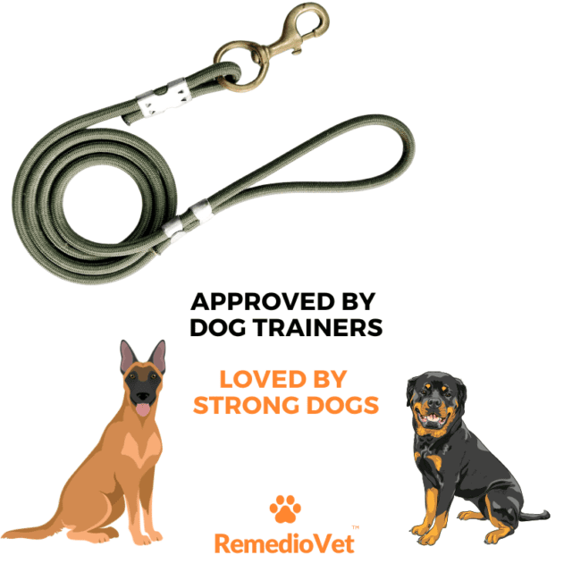 The ultimate dog leash for medium and large breeds