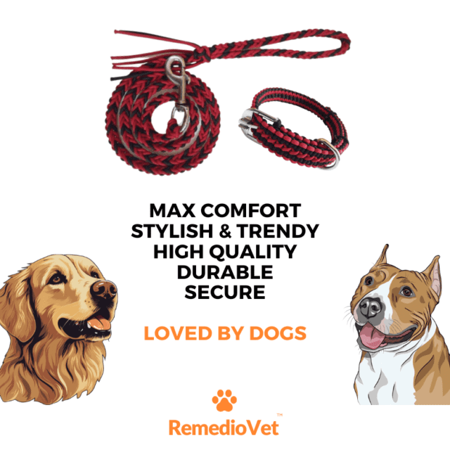 The ultimate dog leash and collar set for medium & large breeds