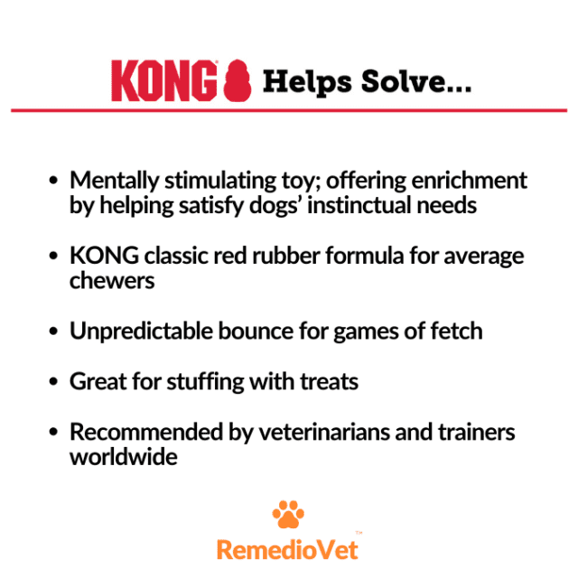 Kong Extreme Dog Toy