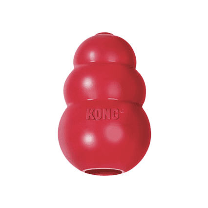 Kong Classic Dog Toy