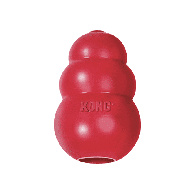 Kong Classic Dog Toy