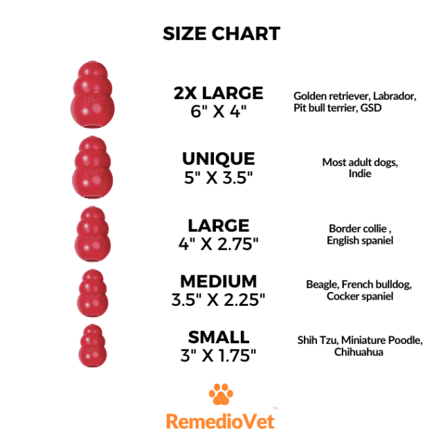 Kong Classic Dog Toy