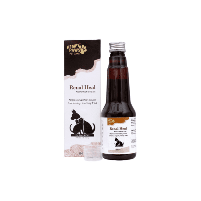Herbal Tonic For Kidney & Urinary Tract Infection in Dogs & Cats