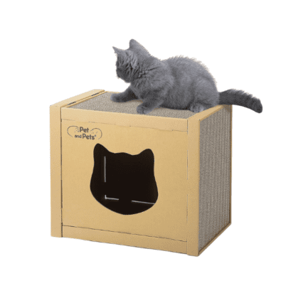 Cardboard Cat House