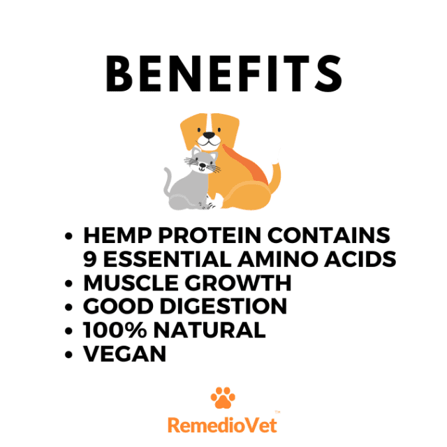 Hemp Protein For Dogs & Cats