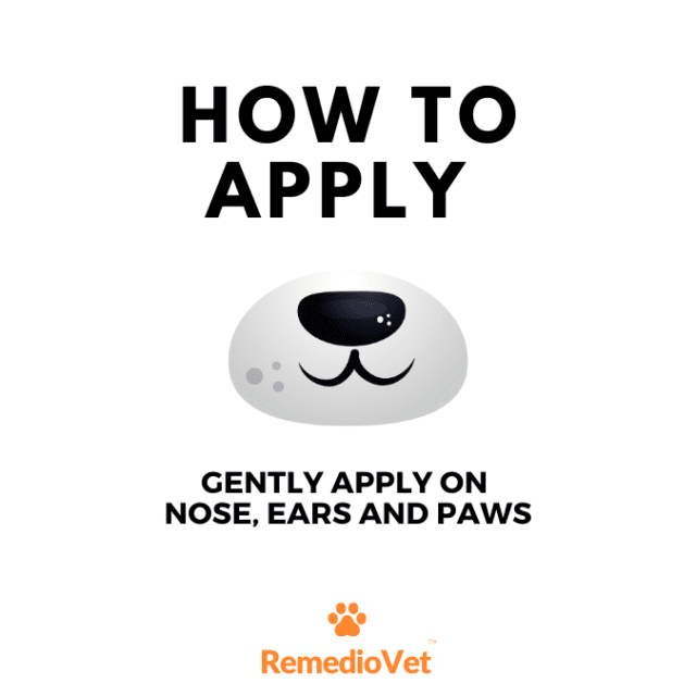 Calming Hemp Balm For Dogs & Cats
