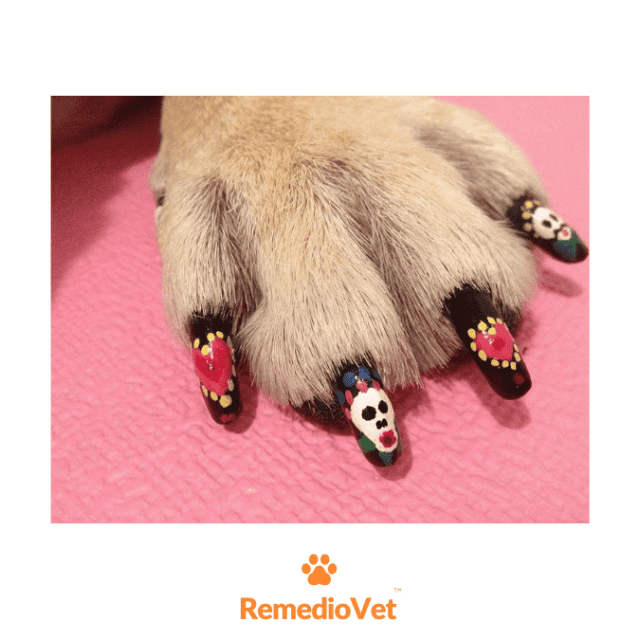 Pawdicure Dog Nail Polish