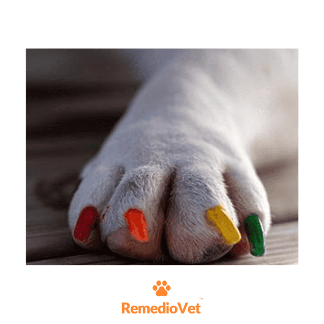 Pawdicure Dog Nail Polish