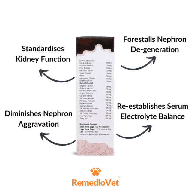 Herbal Tonic For Kidney & Urinary Tract Infection in Dogs & Cats