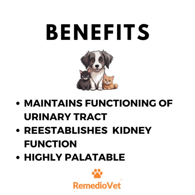 Herbal Tonic For Kidney & Urinary Tract Infection in Dogs & Cats