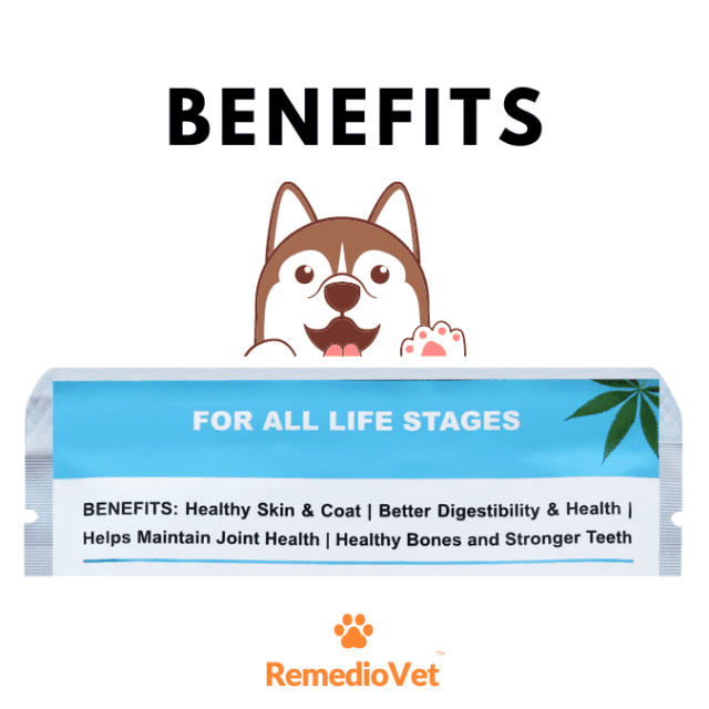 Hemp Gravy For Dogs With Real Chicken & Chicken Liver Chunks