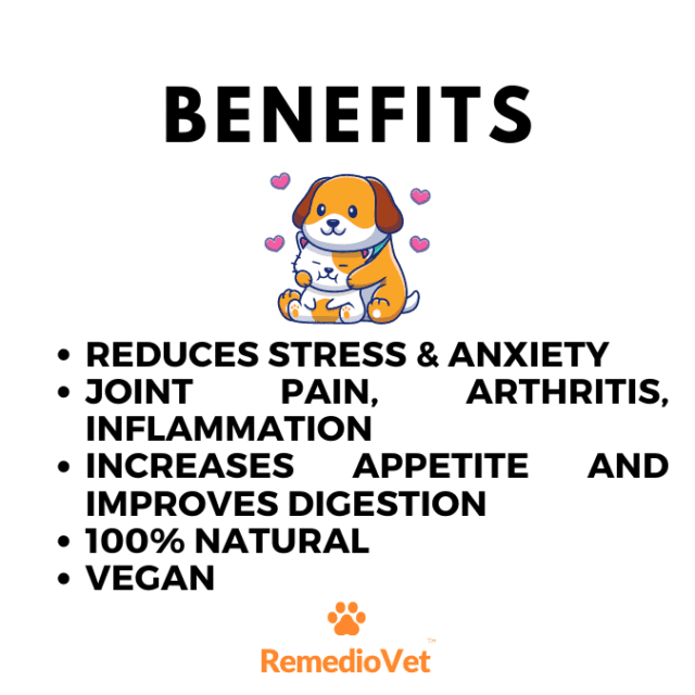Hemp Seed Oil For Dogs & Cats