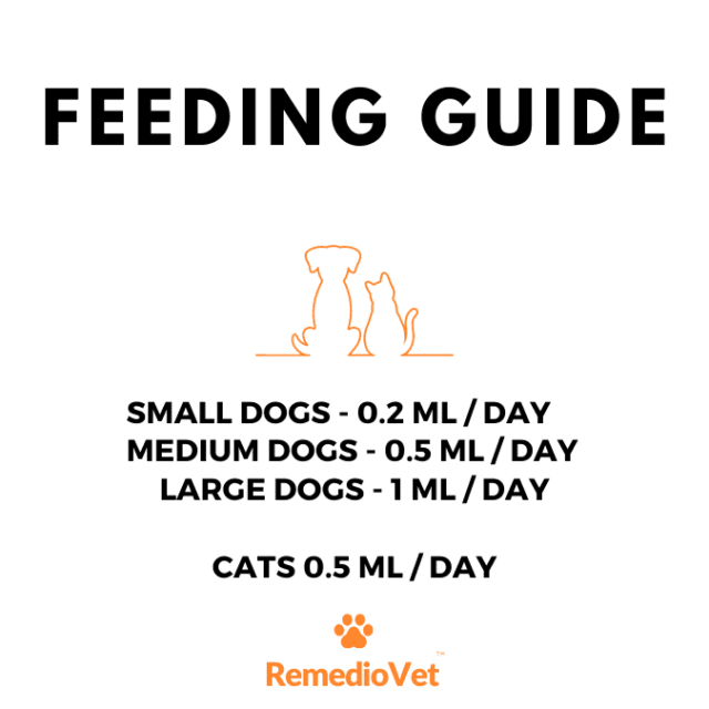 Hemp Seed Oil For Dogs & Cats