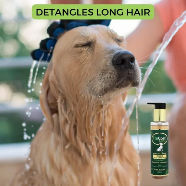 Natural Dog Shampoo