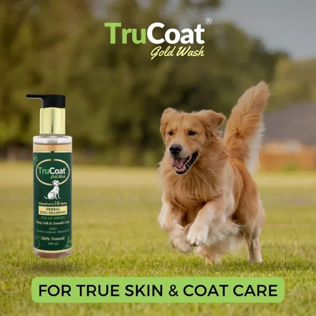 Trucoat Gold Wash Best Herbal Dog Shampoo