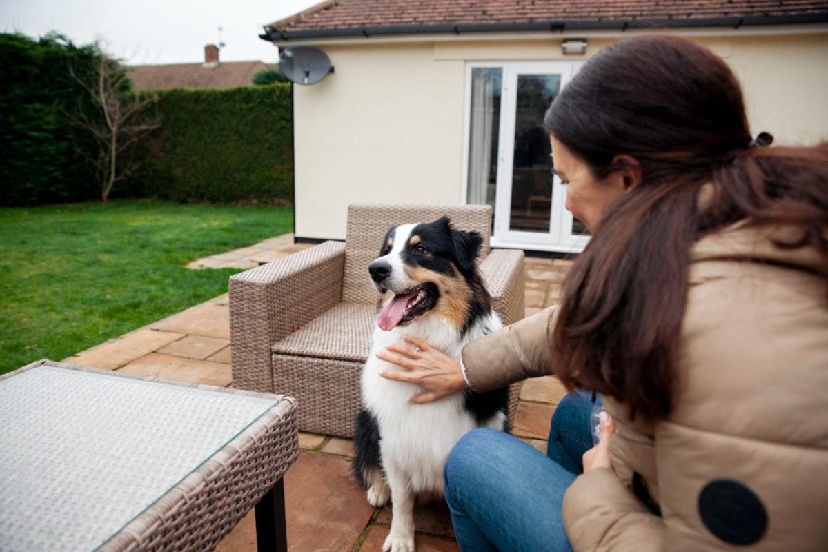 Plan A Stress-Free Trip with Your Pet Pet Relocation Services