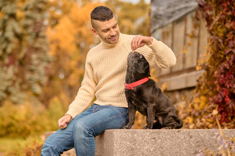 Why Do You Need To Microchip Your Dog?