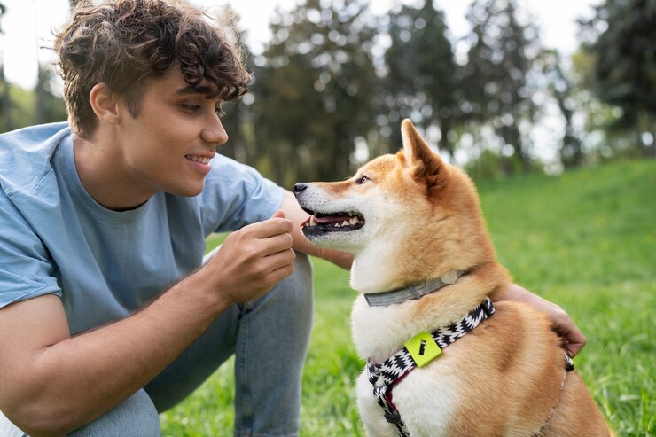 Microchip And GPS Tracker